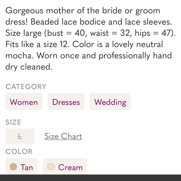 Mother of the Bride or Groom Dress - Formal Dress - Size Large 12 - Picture 4 of 5